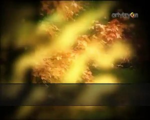 Enstrümantal - Baharı Bekleyen Kumrular Gibi