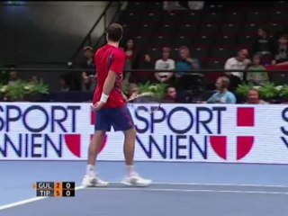 Vienne - Facile pour Tipsarevic