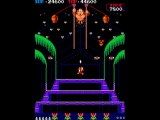 [NVSS] Donkey Kong 3 (Arcade) - Gameplay   Commentary