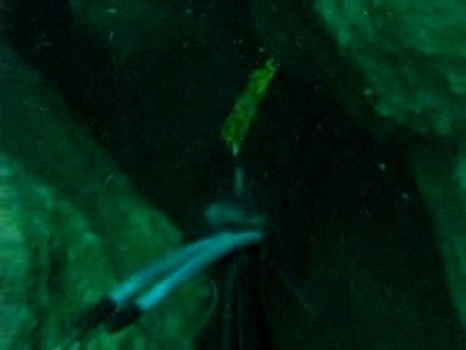 essai71