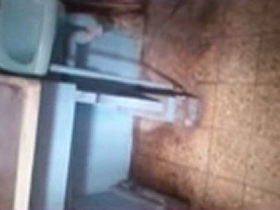 MOV_0005_mpeg4