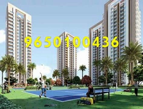 9650100436 ADANI Group Sector 102 Gurgaon vs Oyster Grande