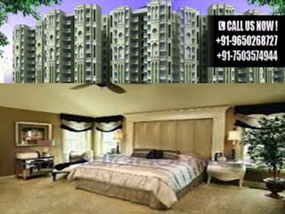 raheja oma call 9650268727
