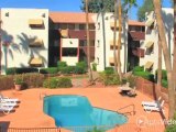 Amber Gardens Apartments in Tempe, AZ - ForRent.com