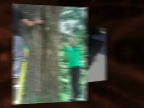 Horticare Tree & Landscaping - (225) 931-8898