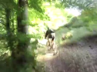 Essai Contour ROAM à VTT