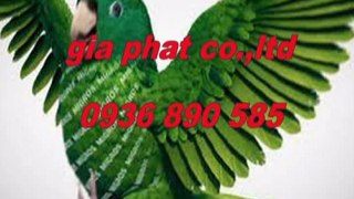 Chống thấm nhà vệ sinh tại quận thủ đức hcm call 0907 323 053