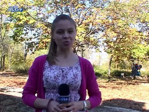 Vremenska prognoza za 20. oktobar 2012. (Srbija i Timočka krajina)