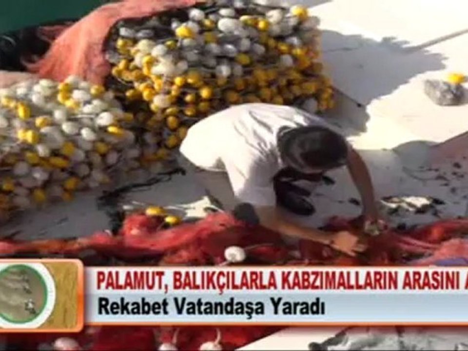 PALAMUT, BALIKÇILARLA KABZIMALLARIN ARASINI AÇTI