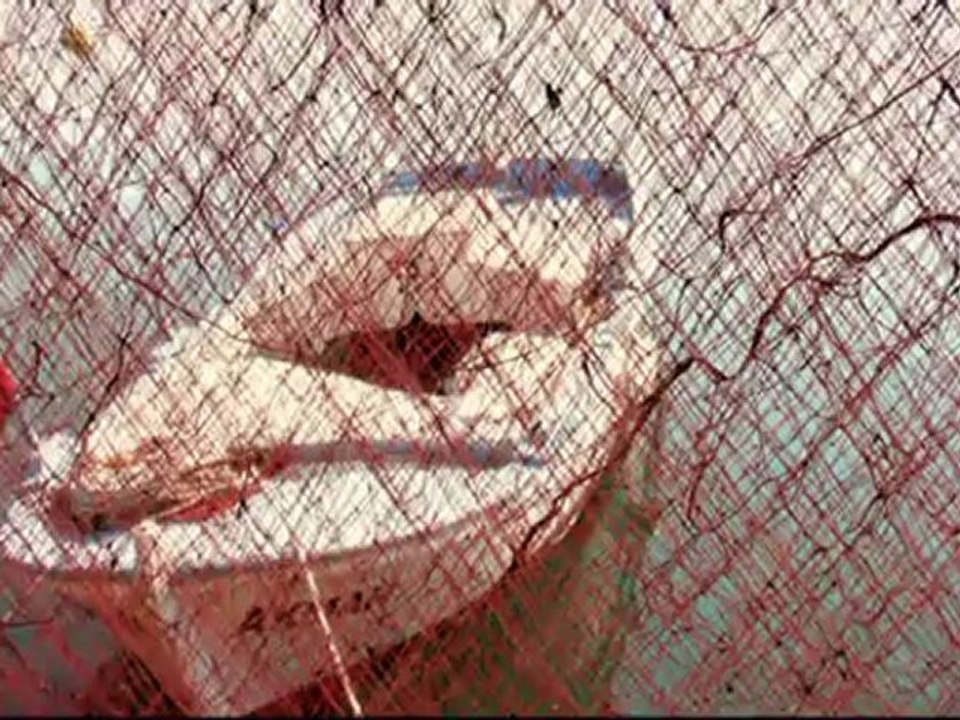 ENDLESS LOVE, Diana Ross & Lionel Ritchie (Mustafa Dinç)