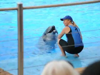 DSC_7802 Durban, Afrique du Sud, dauphin au complexe marin uShaka Marine World