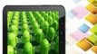 7'' Google Android 2.3 8GB MID Capacitive Touch Screen Gsensor A10 Tablet (Built-in Wifi, 8GB Flash Storage, Extend to 32G... REVIEW