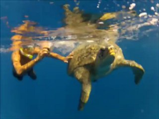 vacances taba egypte octobre 2012