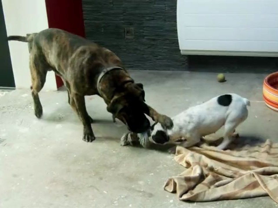 Busta et Gwani