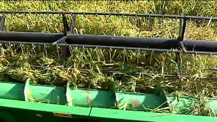 Casa Toro Octubre 19 de 2012  web