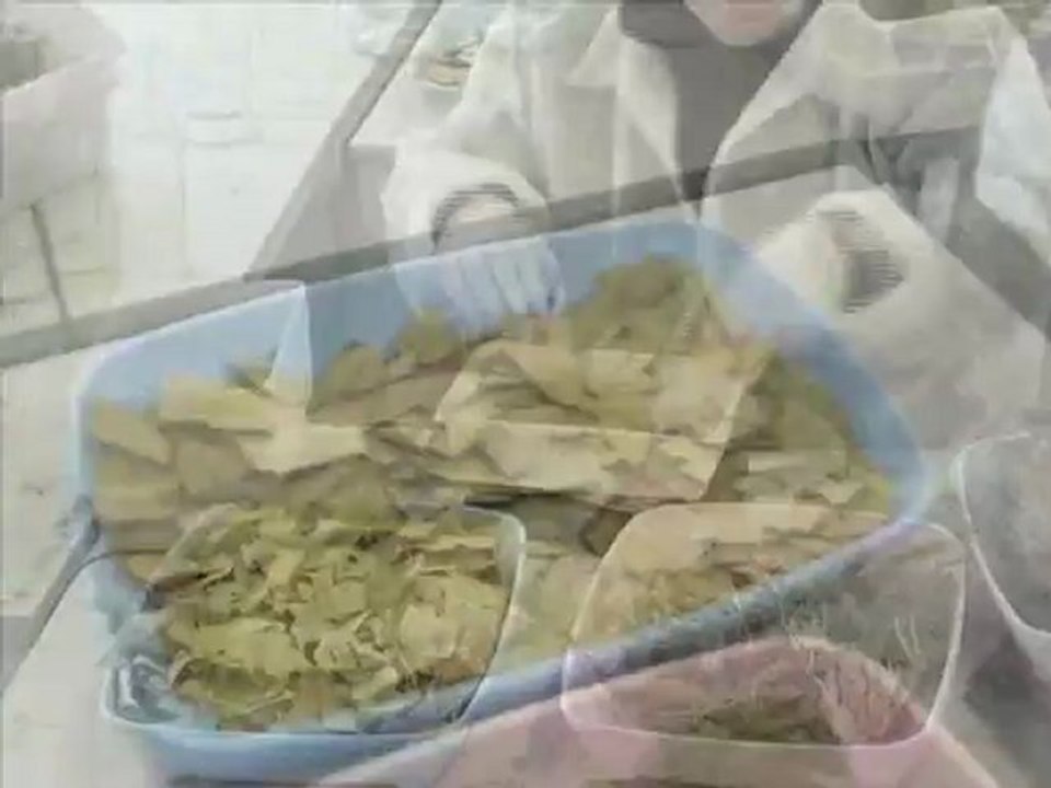 travail en salle blanche au trait d'union