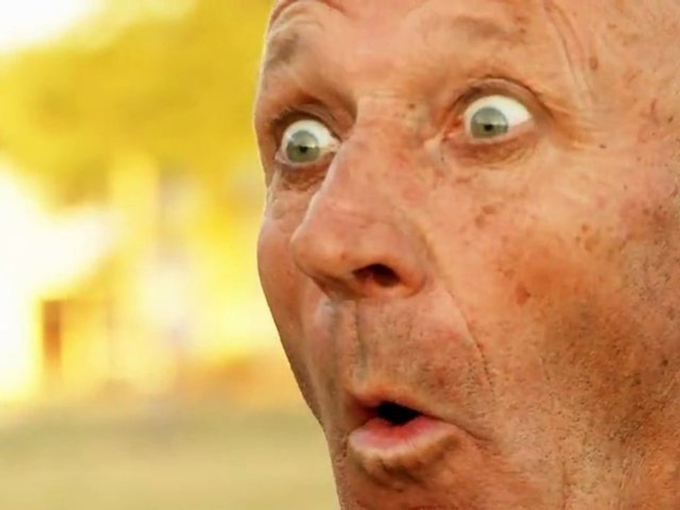 LE CHAT ERRANT Le Zwiiip !!!