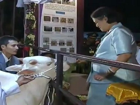 ข่าวในพระราชสำนัก191012