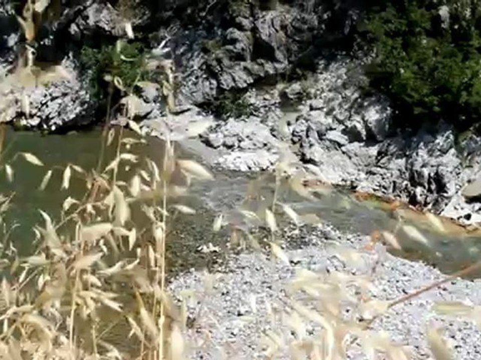 Canyon - Free HD stock footage