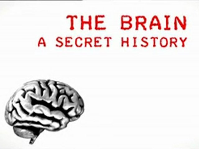 The Brain: A Secret History