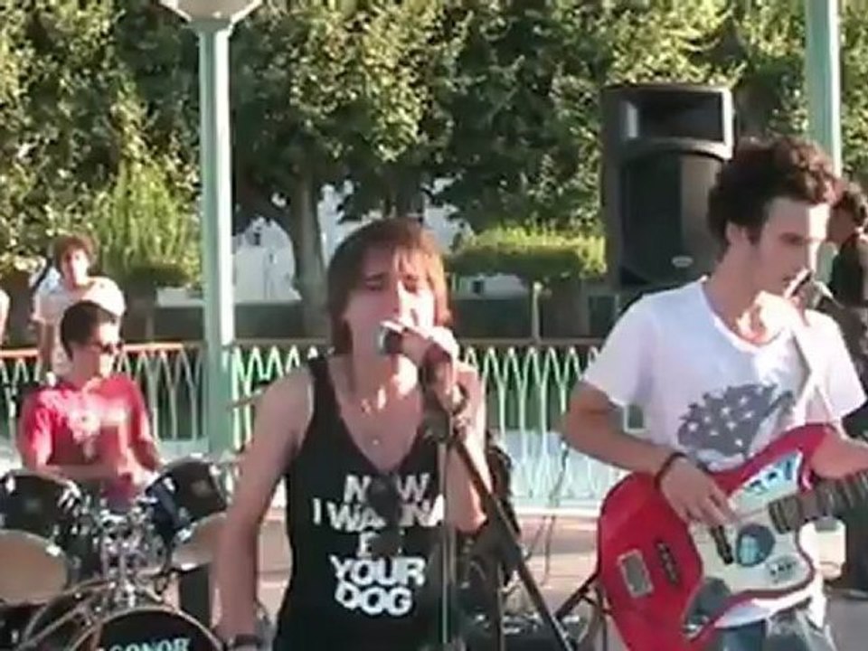 VMSf-Buses et Boeufs