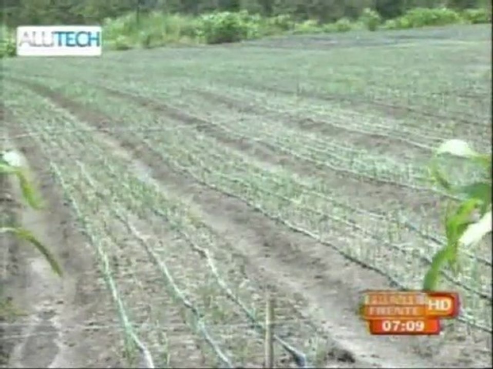 Día de la Alimentación, Proyectos de la SAG y productores hondureños. Programa Frente a Frente, Canal 5. 16 de octubre del 2012.