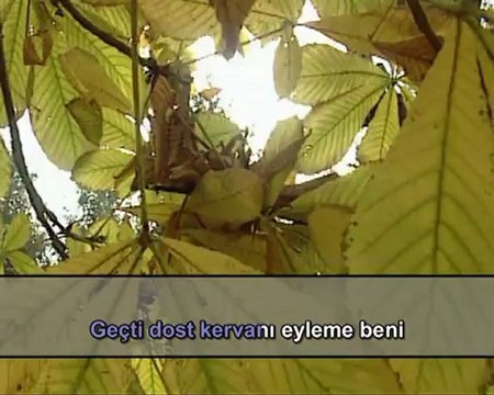 Enstrümantal - Geçti Dost Kervanı (Karaoke)