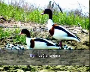 Enstrümantal - Gesi Bağları (Karaoke)