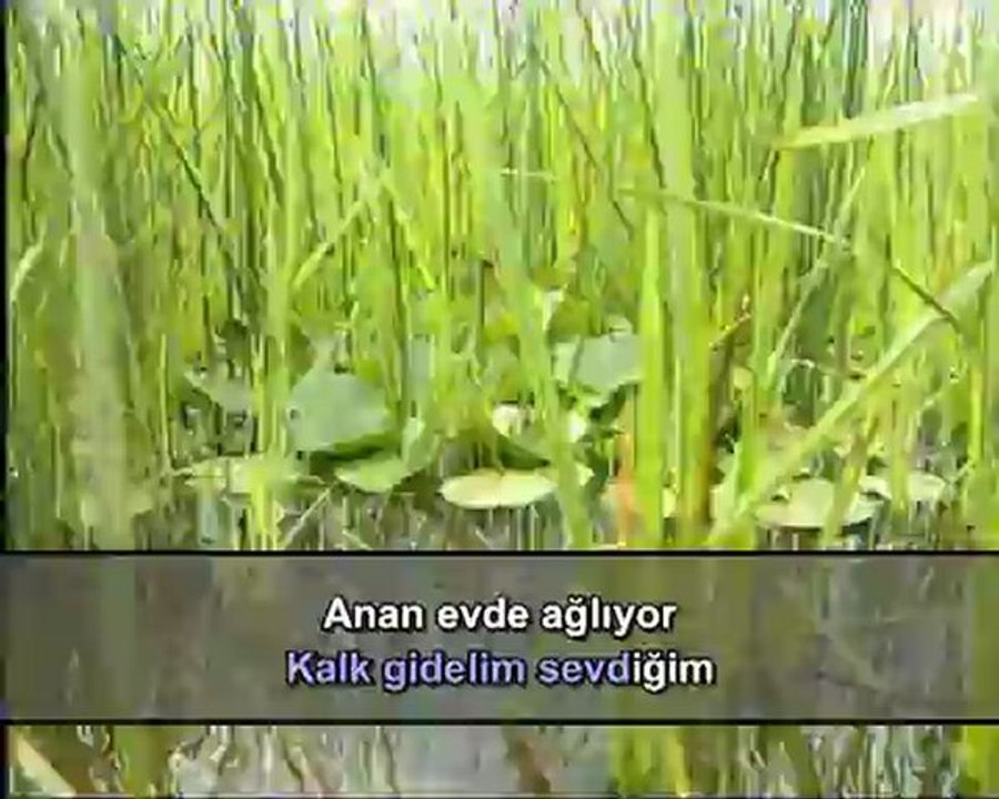 Enstrümantal - Ordunun Dereleri