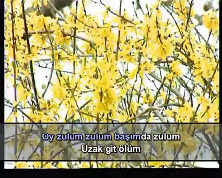 Enstrümantal - Mahpusun İçinde Üç Ağaç İncir