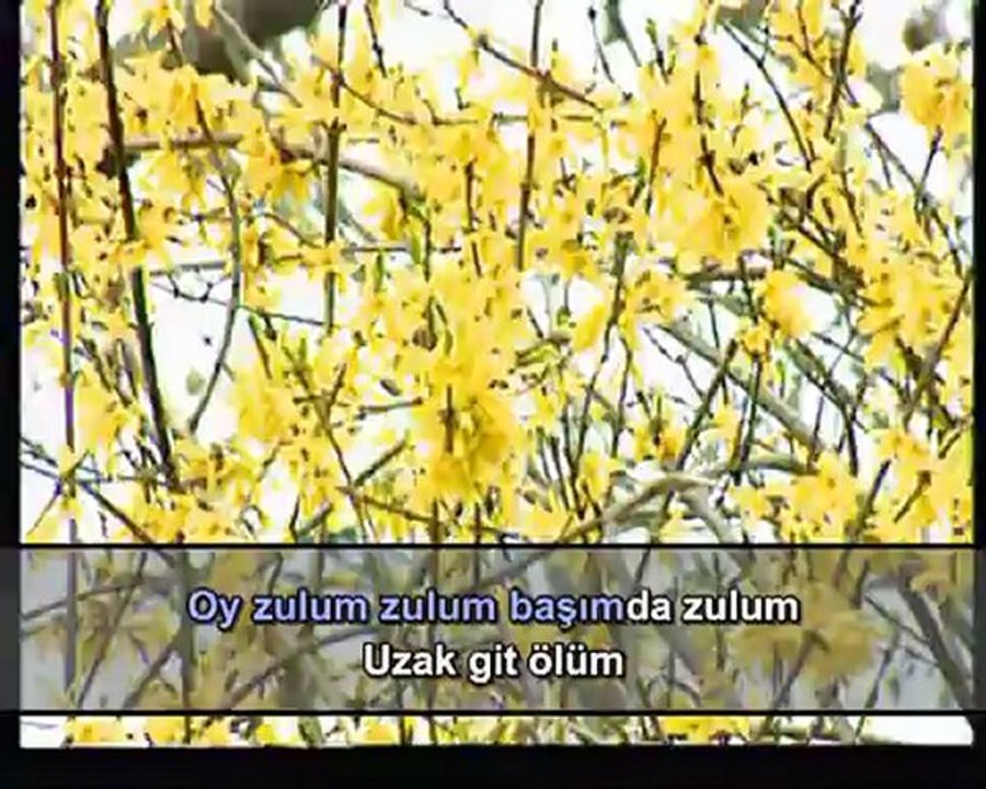 Enstrümantal - Mahpusun İçinde Üç Ağaç İncir