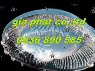 Chống thấm nhà vệ sinh tại quận 7 hcm call 0936 890 585
