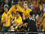 Bledisloe Cup rugby cup online watch live Bledisloe Cup rugby streaming