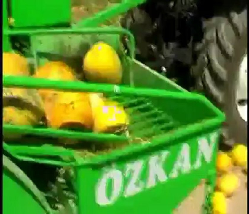 Özkan Tarım Makina (KAYSERİ) -Kabak Çekirdeği Hasat Makinesi - www.ozkantarimmakina.com.tr