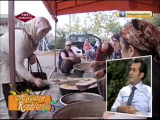 Aziz Öktem Hayatın Renkleri 2