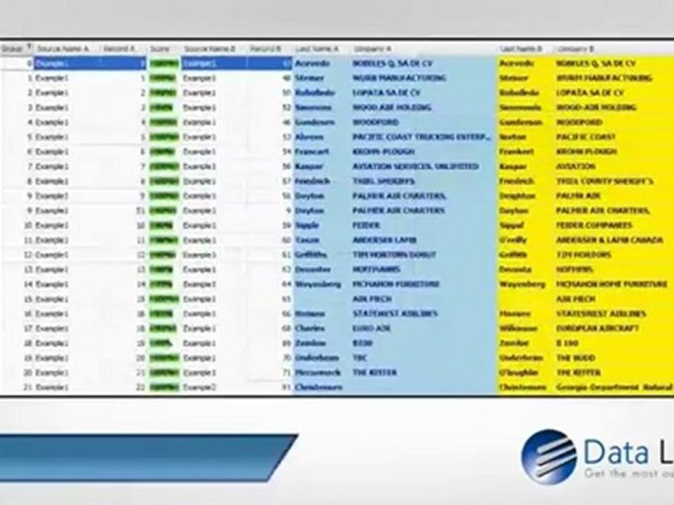 DataMatch_ Data Cleansing Software made Affordable and Easy To Use