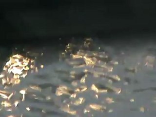 LA LAMPE DU TABLEAU DE BORD