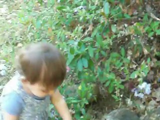 je cueille les fleurs du jardin