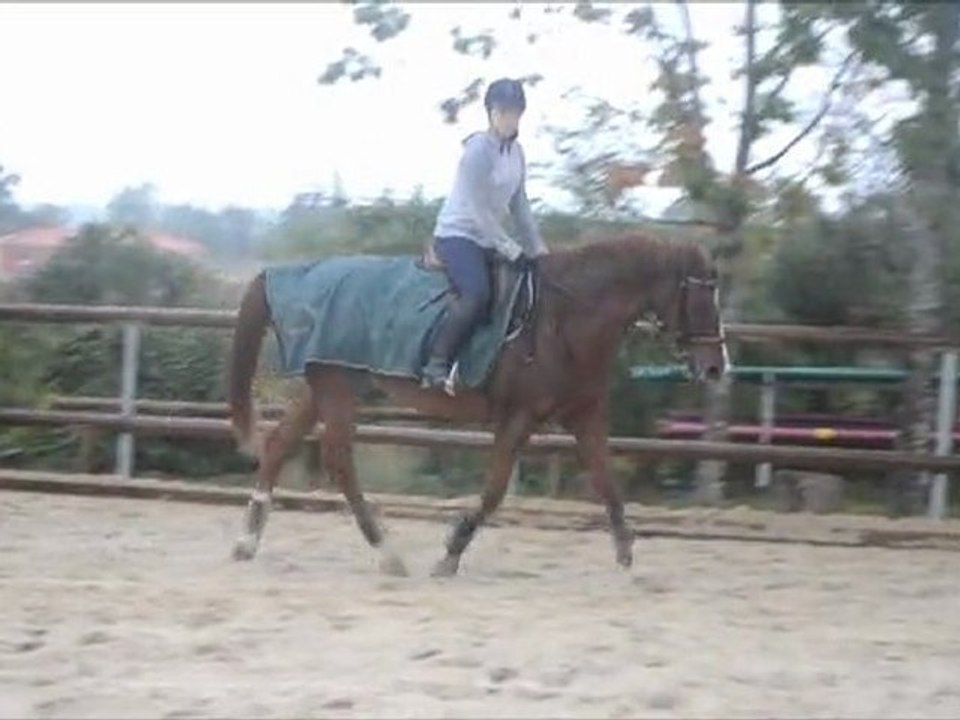 Chez Tri. ♥
