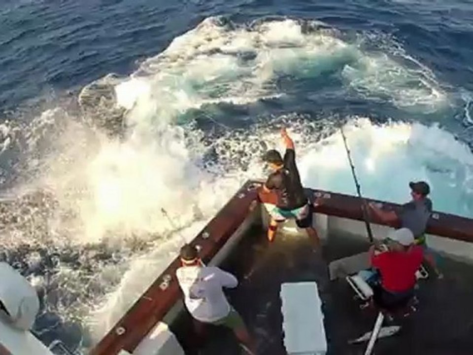 Pêche sportive au Marlin