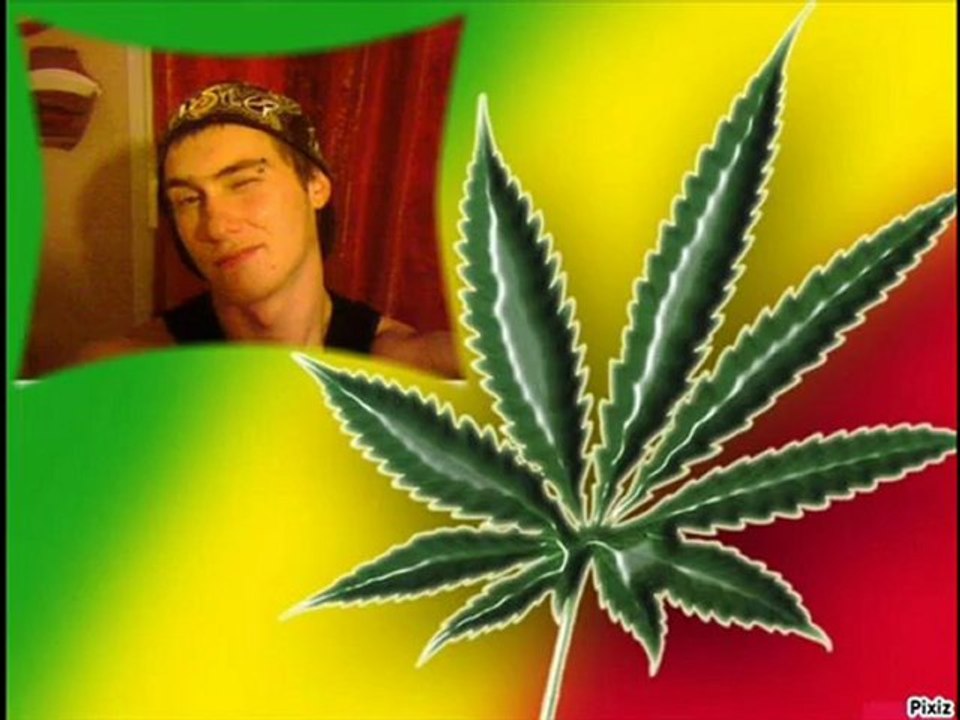 Chansons d'amour (5 mois