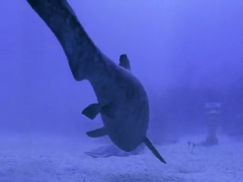 La Terre Des Dinosaures - Les Monstres Des Mers (1/2)