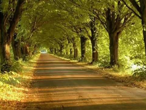 JACEK LECH - Do Widzenia Mamo