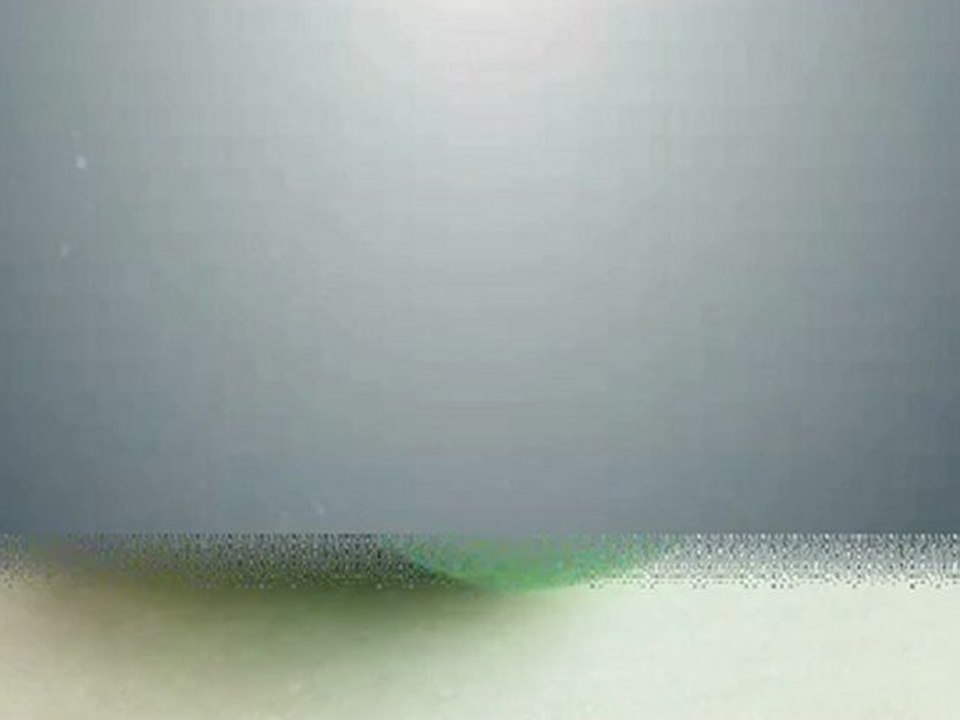 Different Types of Tea - Which do you Prefer?