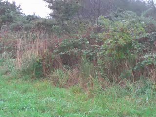 petite chasse au lapin entre collegue