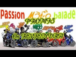 Sortie du 2011+09+11 Forët Noire