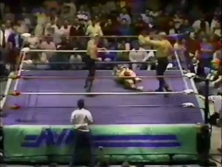 Dusty Rhodes vs Road Warrior Animal