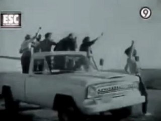 Algunos viajarán en triciclo y otros lo harán en monopatín... yo viajo comodamente el TORINO TSX