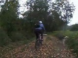 vtt htr loire