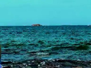 Le ciel, le soleil et la mer (reprise de F.Deguelt)